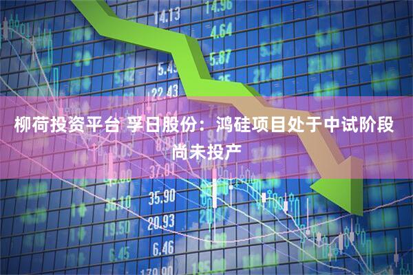 柳荷投资平台 孚日股份：鸿硅项目处于中试阶段 尚未投产