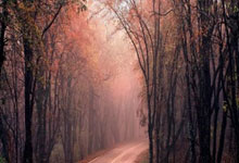 炒股票杠杆:杠杆炒股是什么意思-“反内卷”持续加码 光伏行业半年报隐现回暖信号